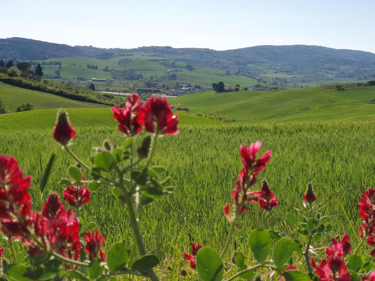 Il Giogo Agriturismo Rosignano Marittimo Luaran gambar