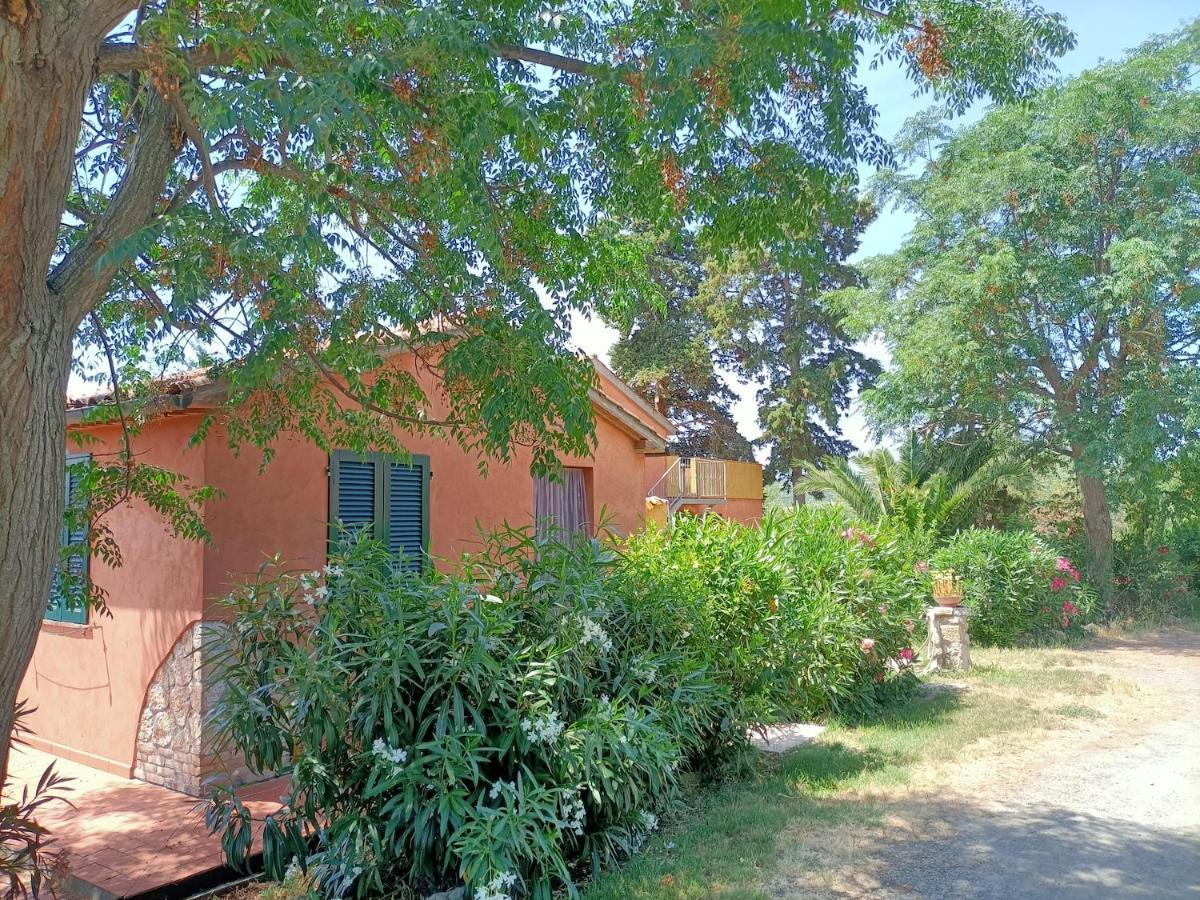 Il Giogo Agriturismo Rosignano Marittimo Luaran gambar