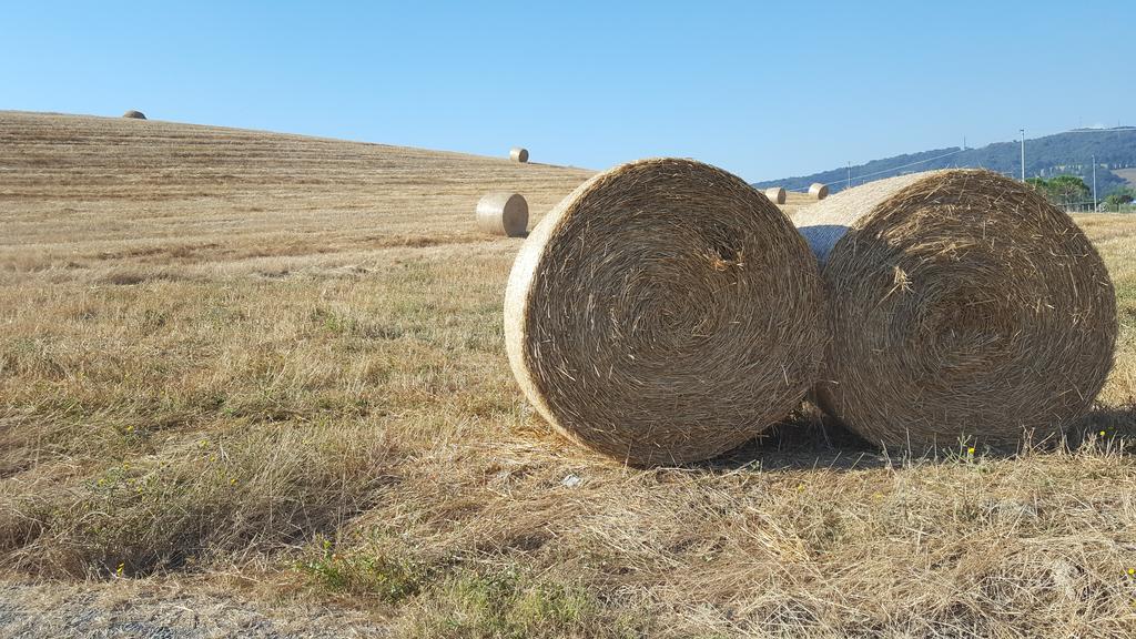 Il Giogo Agriturismo Rosignano Marittimo Luaran gambar
