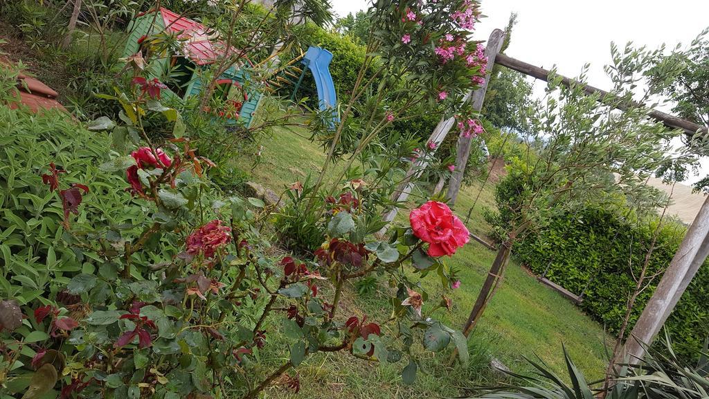 Il Giogo Agriturismo Rosignano Marittimo Luaran gambar